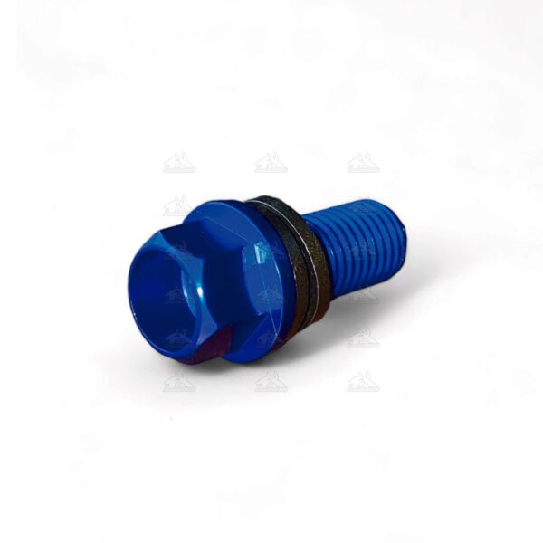 Tornillo de lujo para bomba de freno.