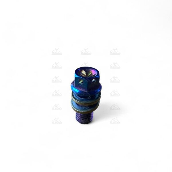 tornillo de bomba tornasol