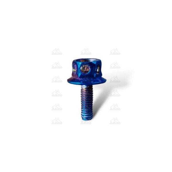 Tornillo de lujo