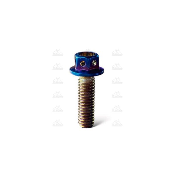 Tornillo de lujo