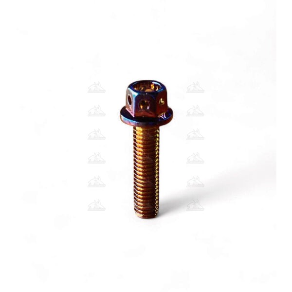 Tornillo de lujo