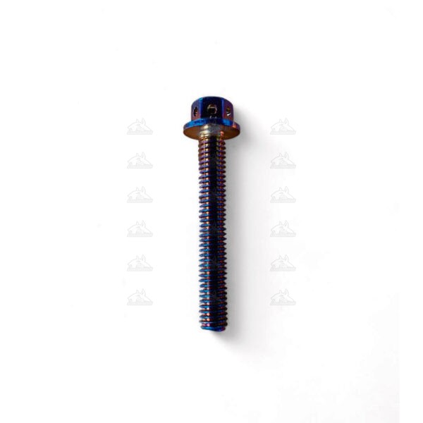 Tornillo de lujo