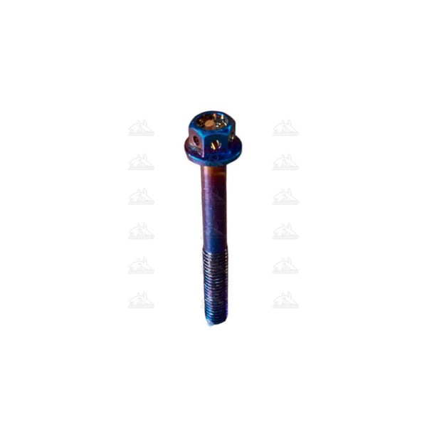 Tornillo de lujo