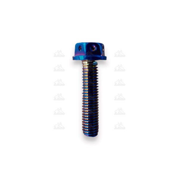 Tornillo de lujo
