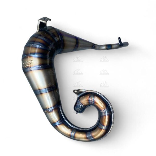 caracol Dt