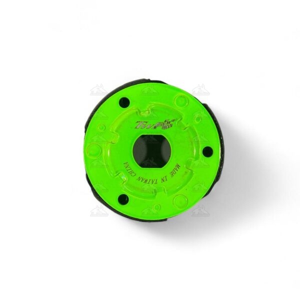 clutch twpo BWS 100